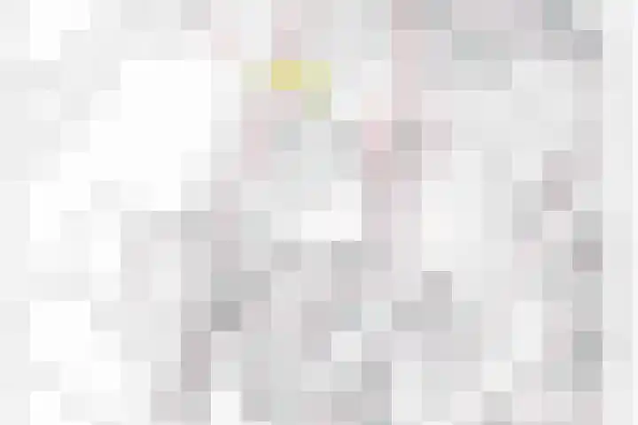 Domeinenstraat 15 Mill thumbnail 28