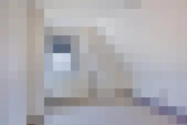 Domeinenstraat 15 Mill thumbnail 4