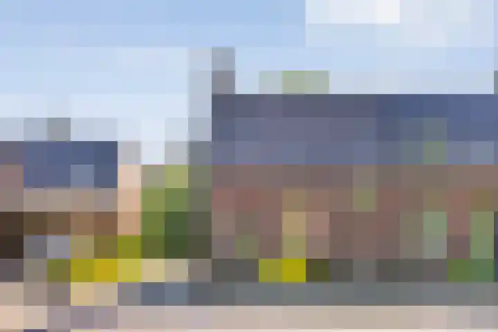 Domeinenstraat 15 Mill thumbnail 5
