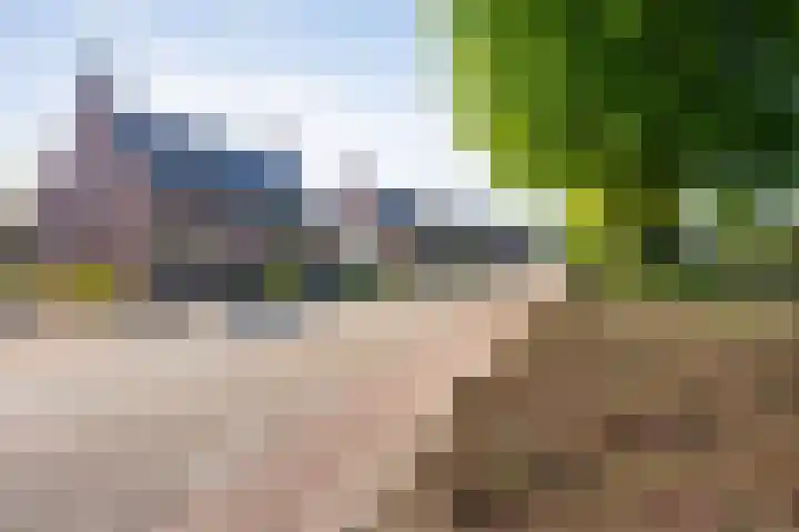 Domeinenstraat 15 Mill thumbnail 6