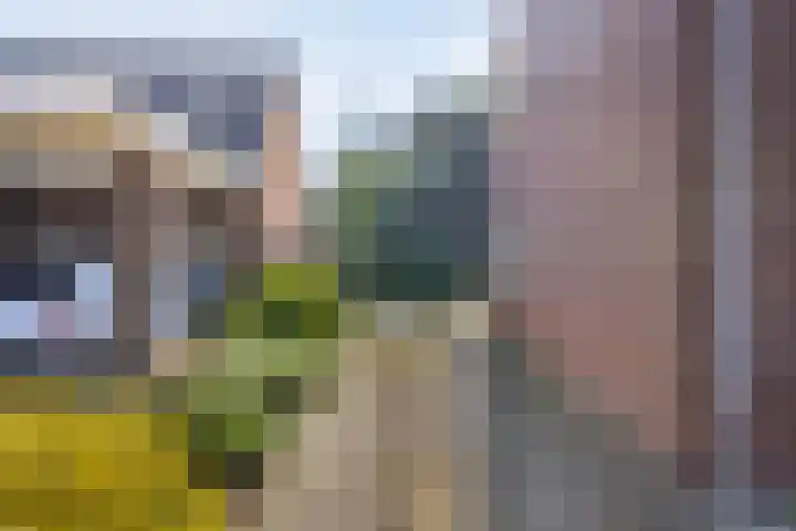 Domeinenstraat 15 Mill thumbnail 7