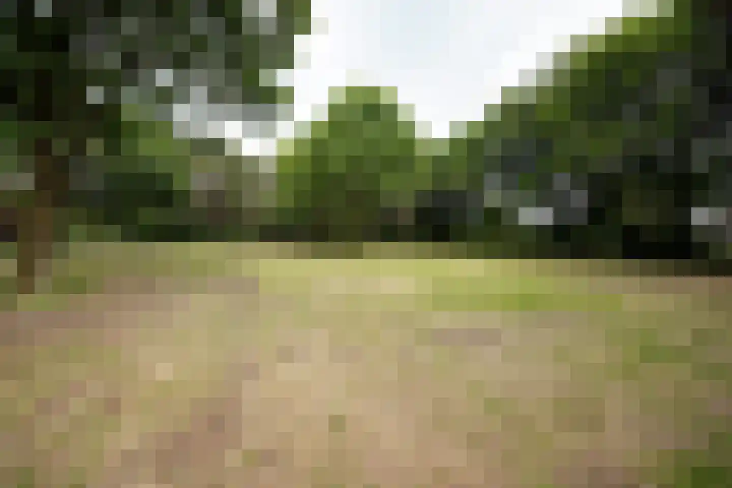 Domeinenweg 4 Putten thumbnail 10