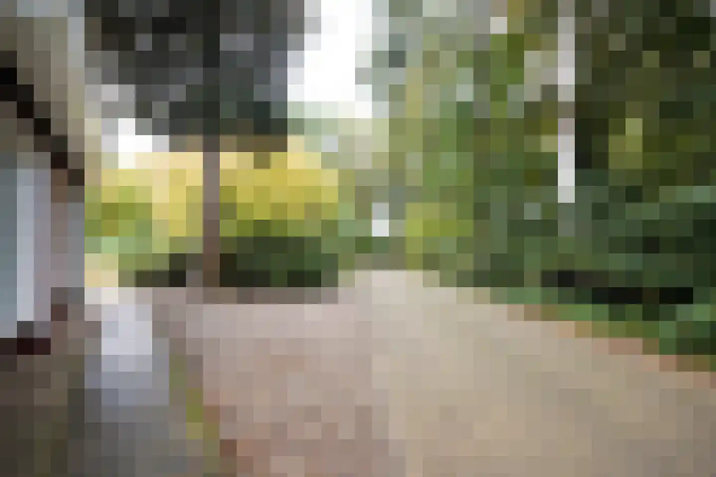 Domeinenweg 4 Putten thumbnail 10