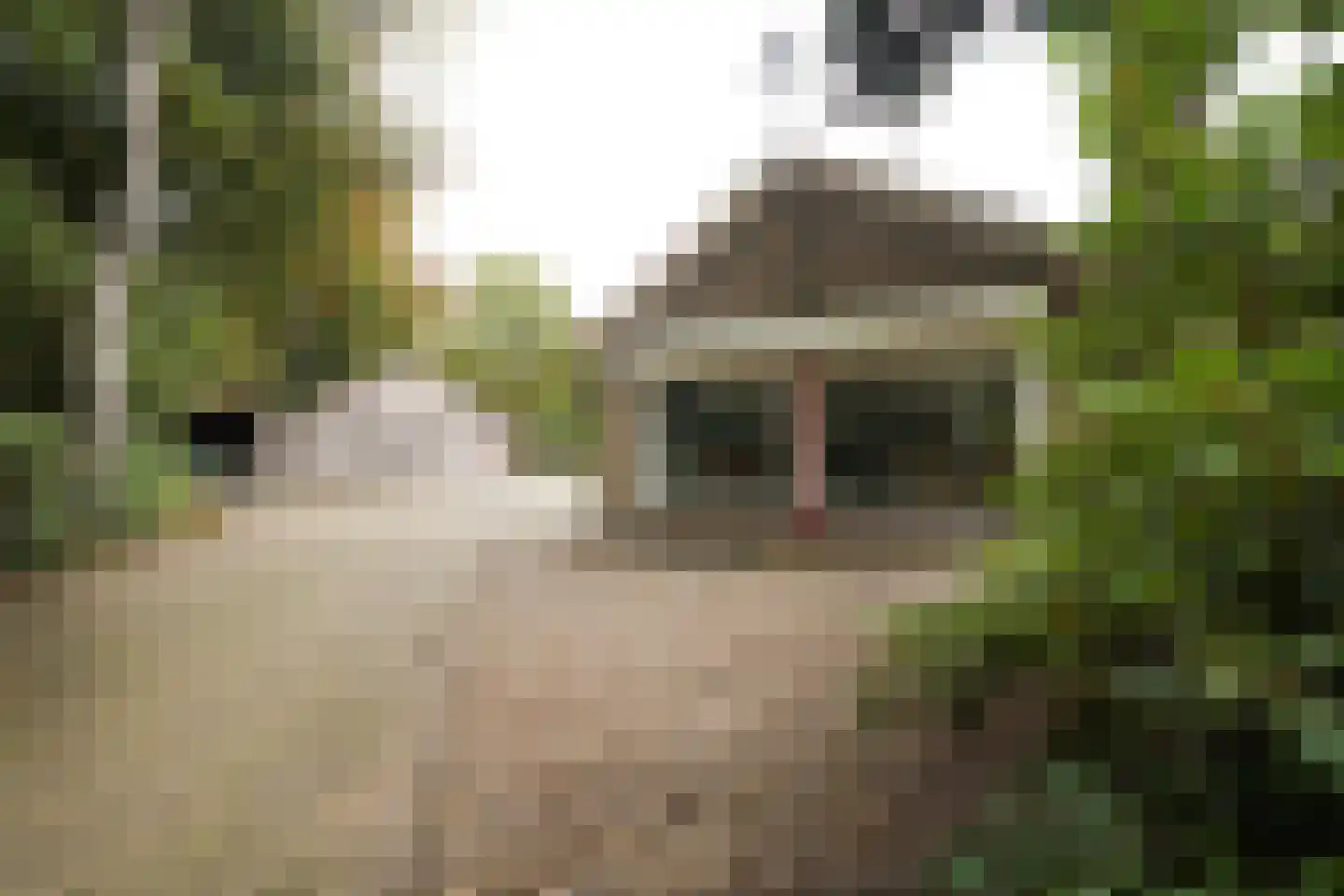 Domeinenweg 4 Putten thumbnail 11