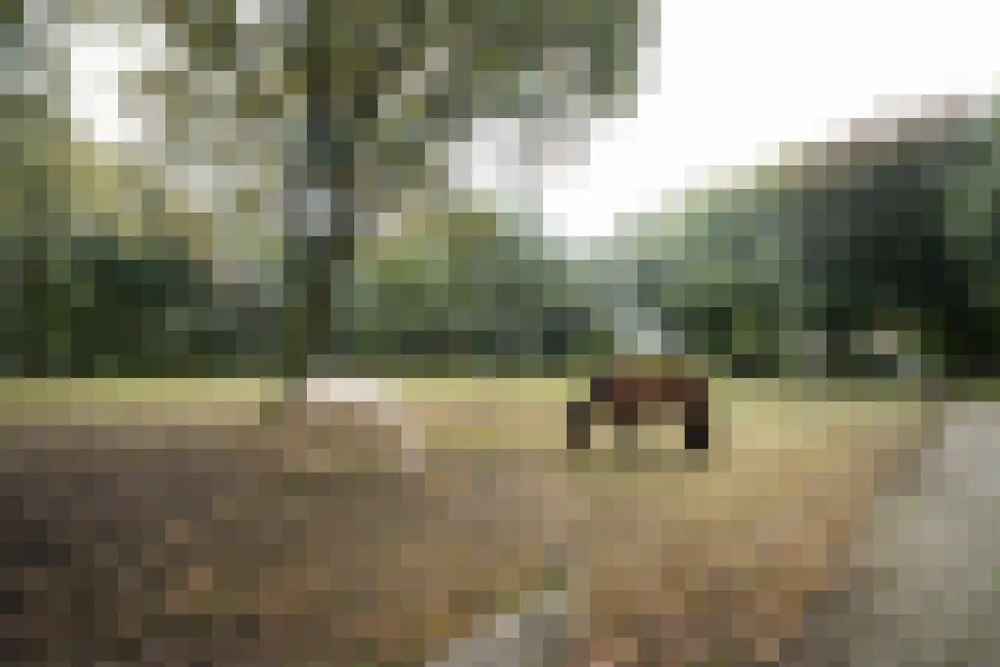 Domeinenweg 4 Putten thumbnail 12