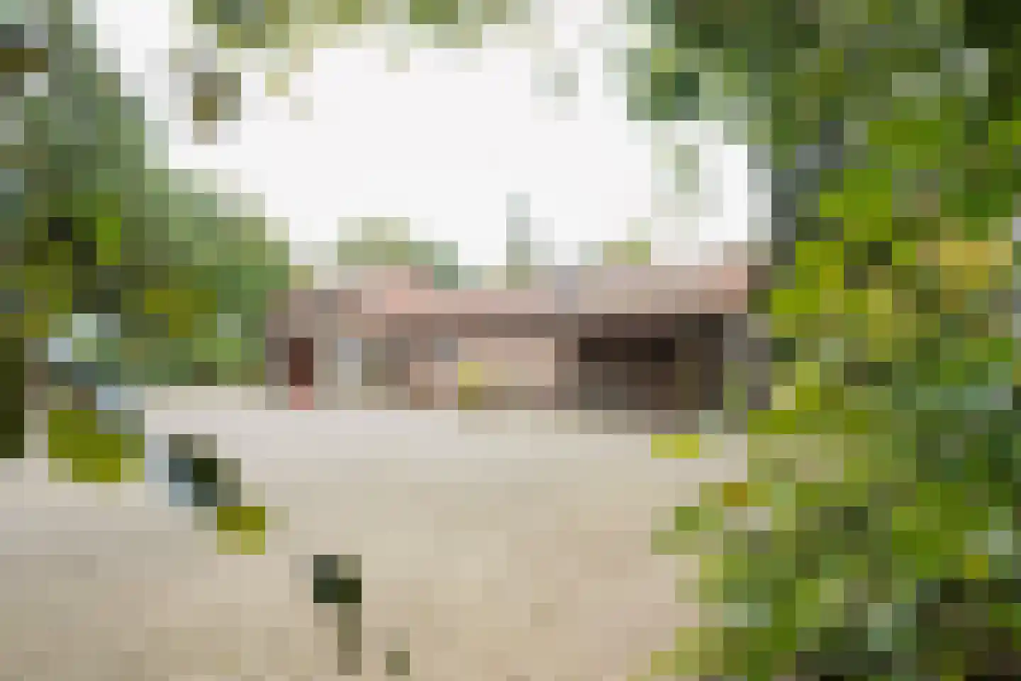 Domeinenweg 4 Putten thumbnail 15