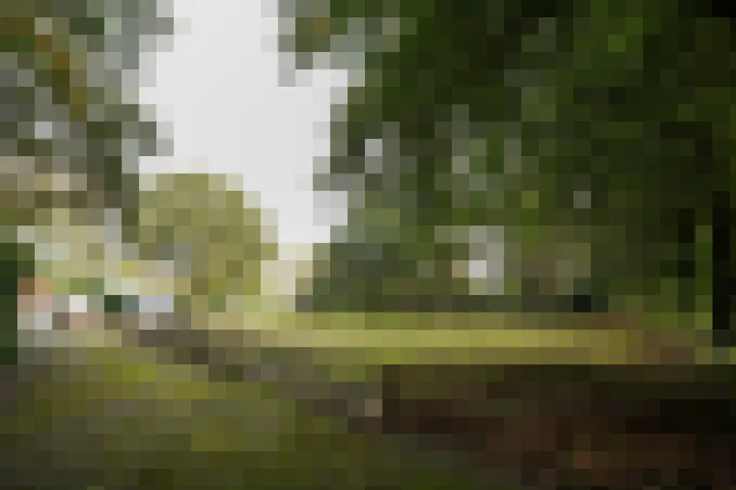 Domeinenweg 4 Putten thumbnail 16