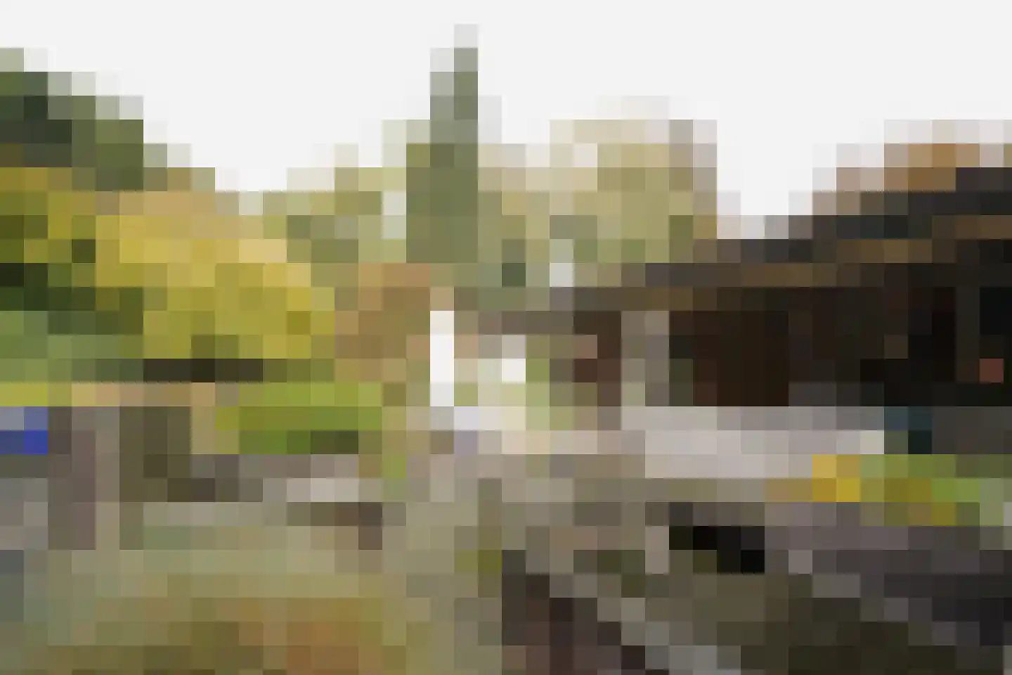 Domeinenweg 4 Putten foto 3