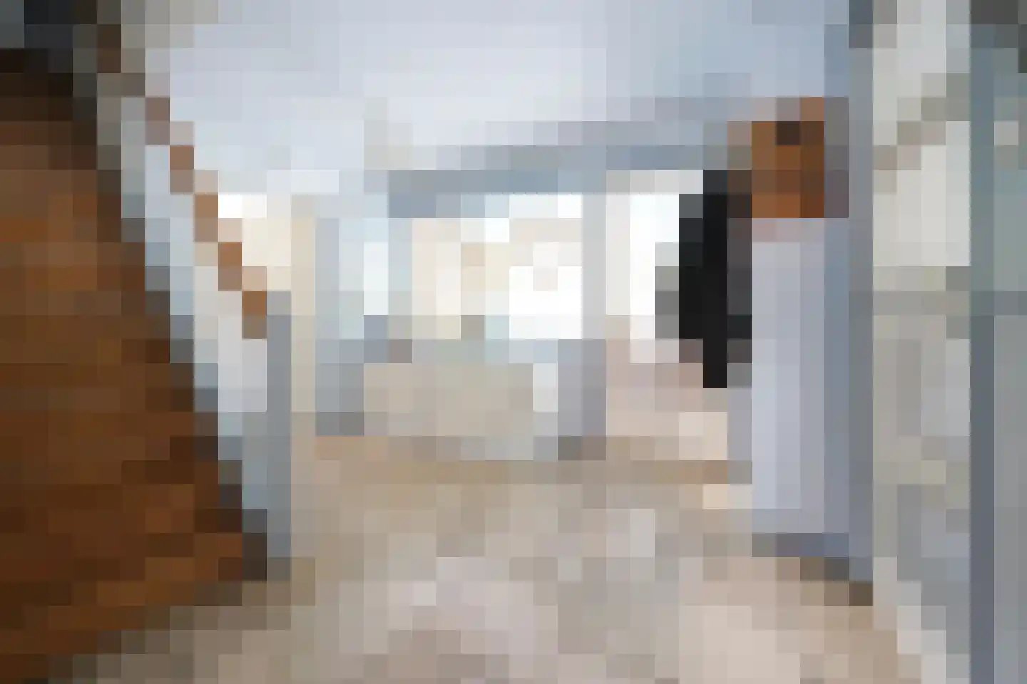 Domeinenweg 4 Putten thumbnail 30