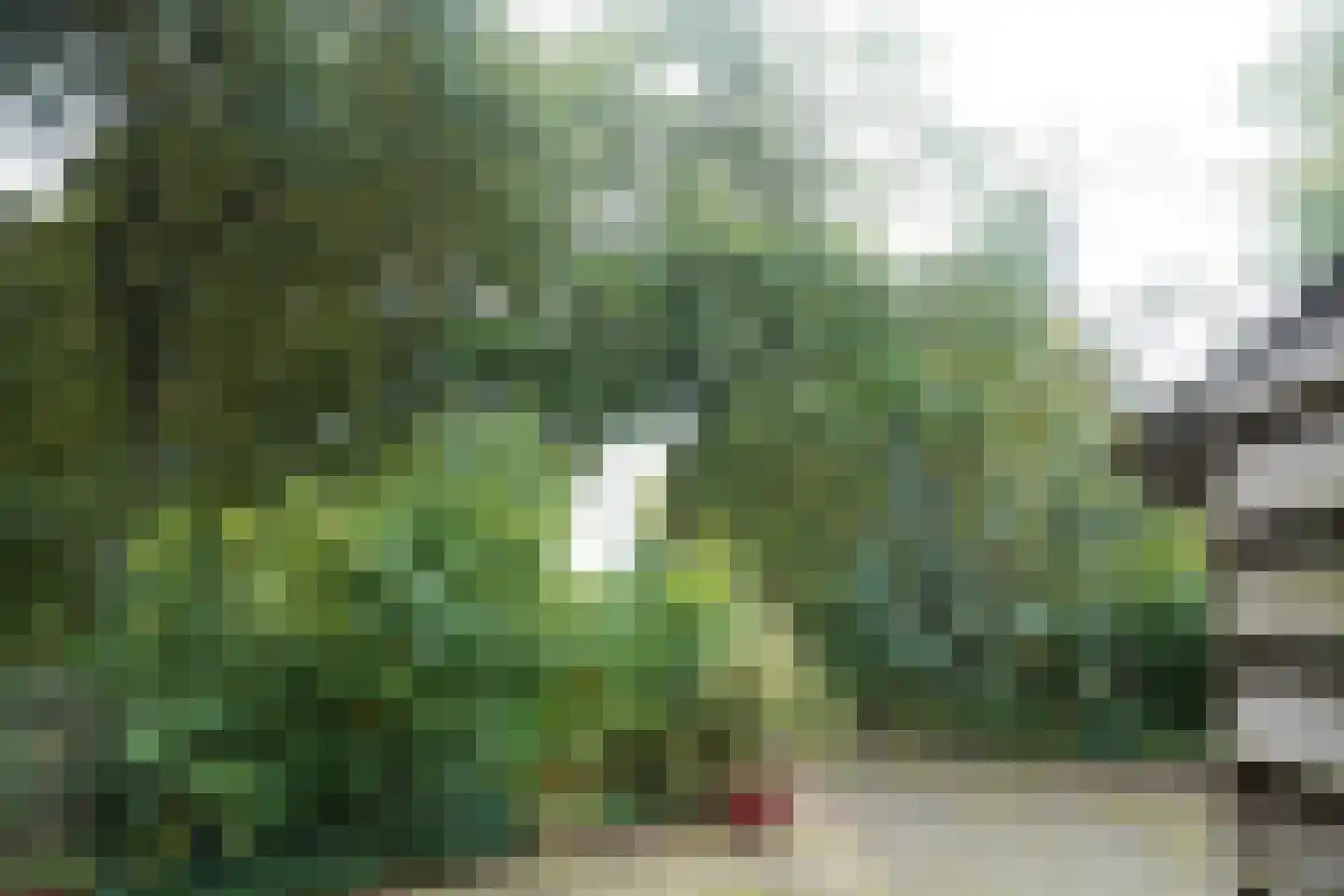 Domeinenweg 4 Putten thumbnail 34