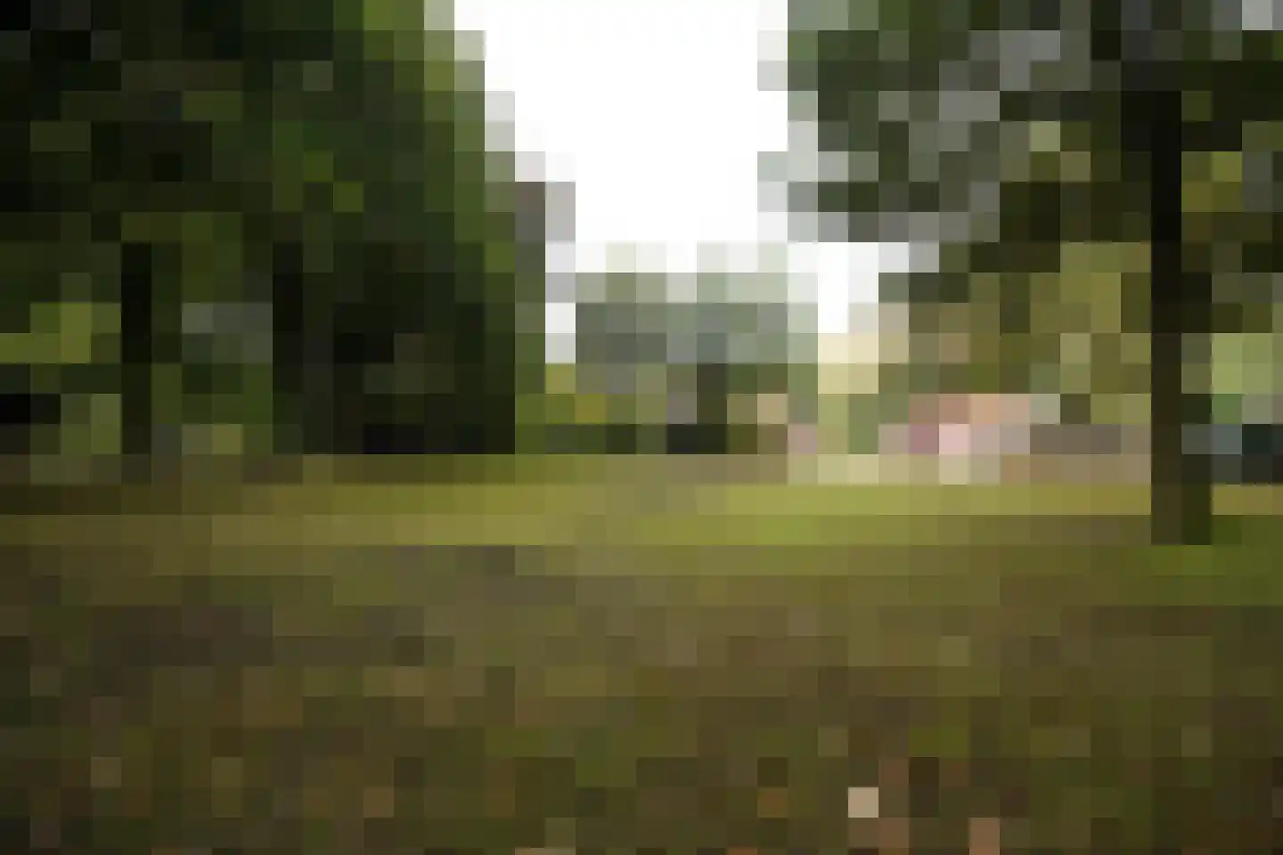 Domeinenweg 4 Putten thumbnail 4