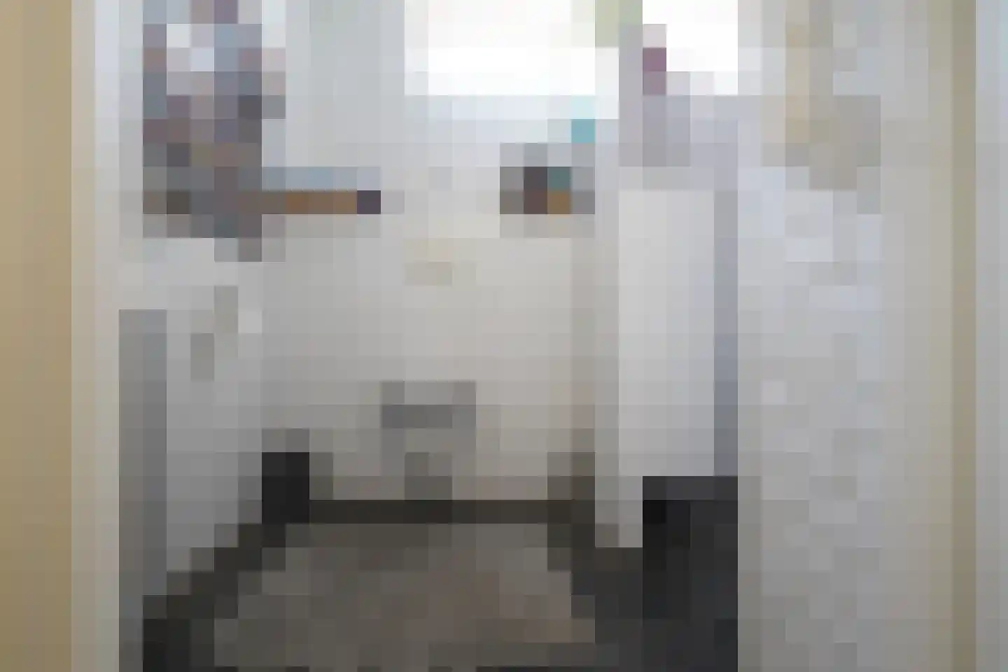 Domeinenweg 4 Putten thumbnail 41