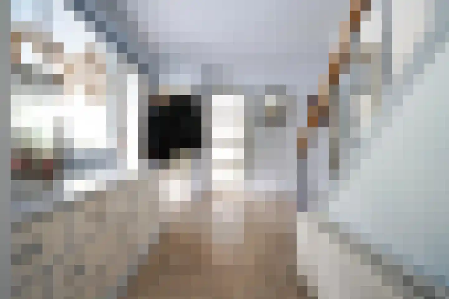 Domeinenweg 4 Putten thumbnail 42