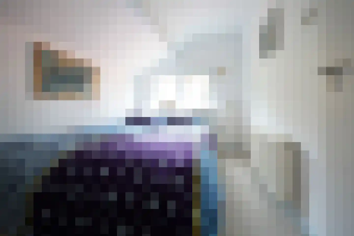 Domeinenweg 4 Putten thumbnail 49