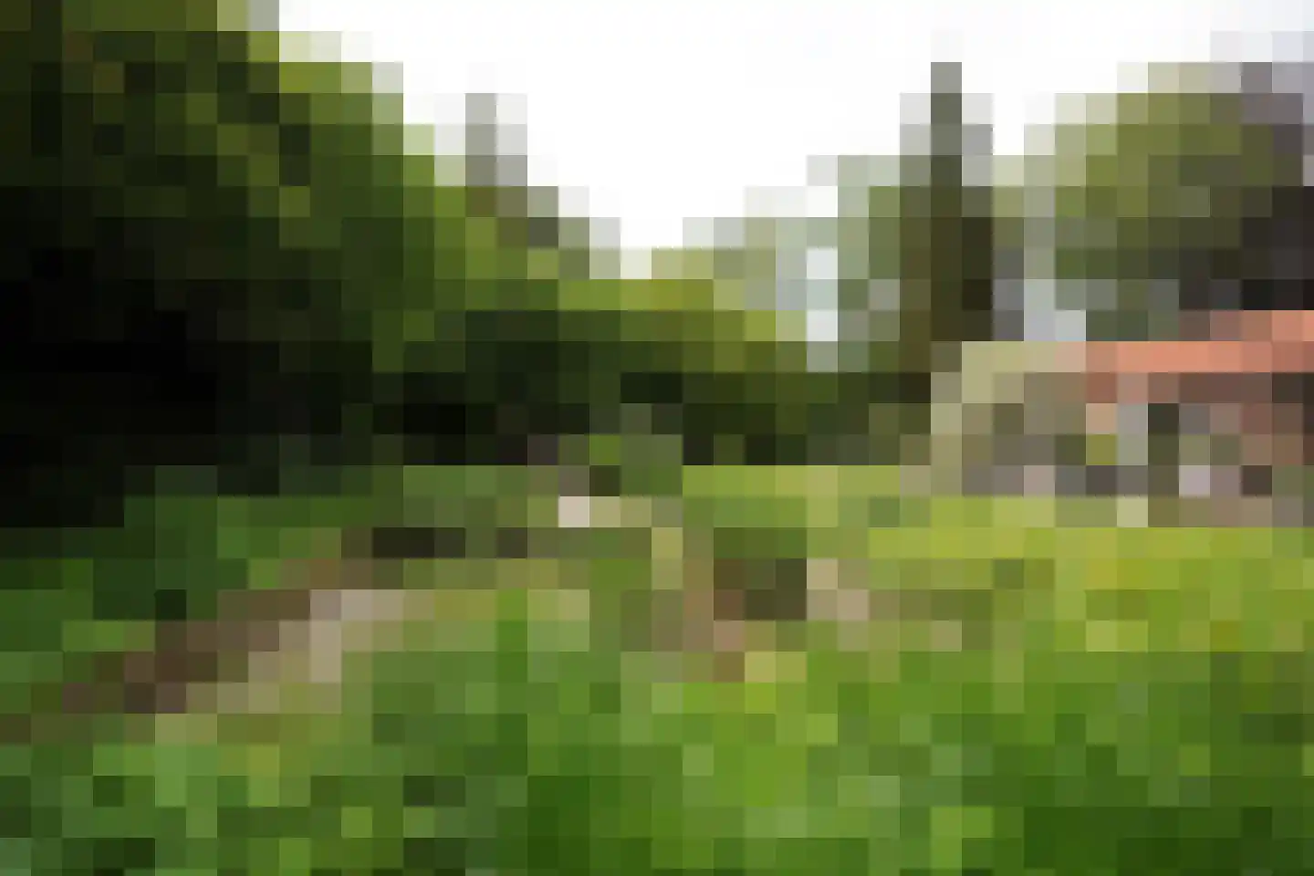 Domeinenweg 4 Putten thumbnail 49