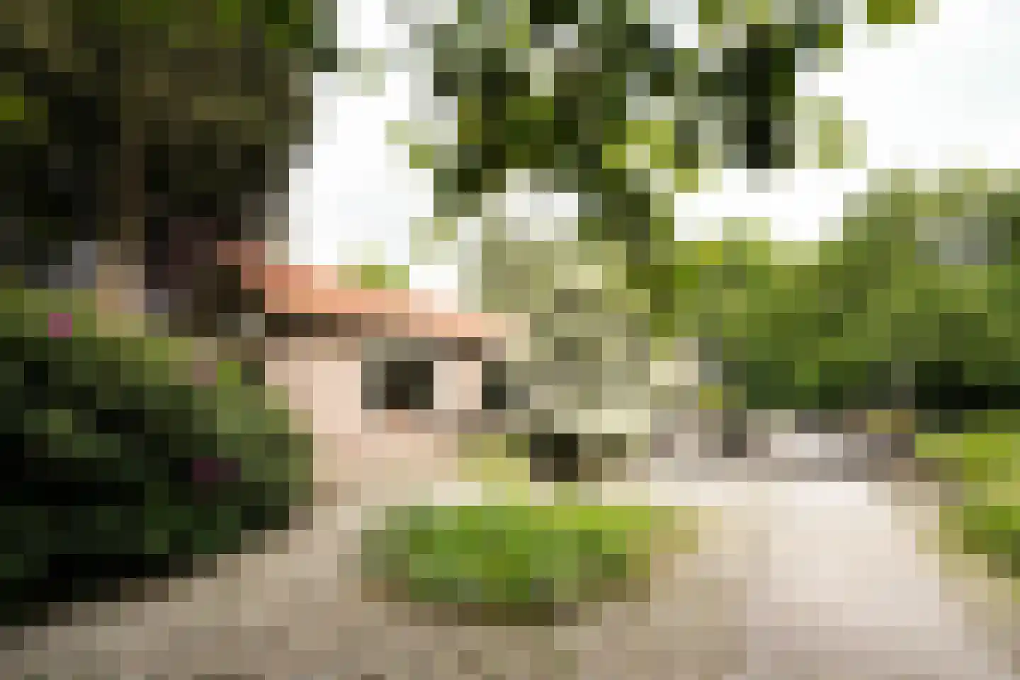 Domeinenweg 4 Putten thumbnail 5