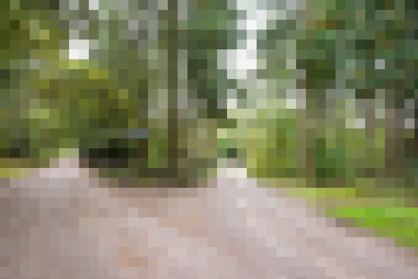 Domeinenweg 4 Putten thumbnail 5
