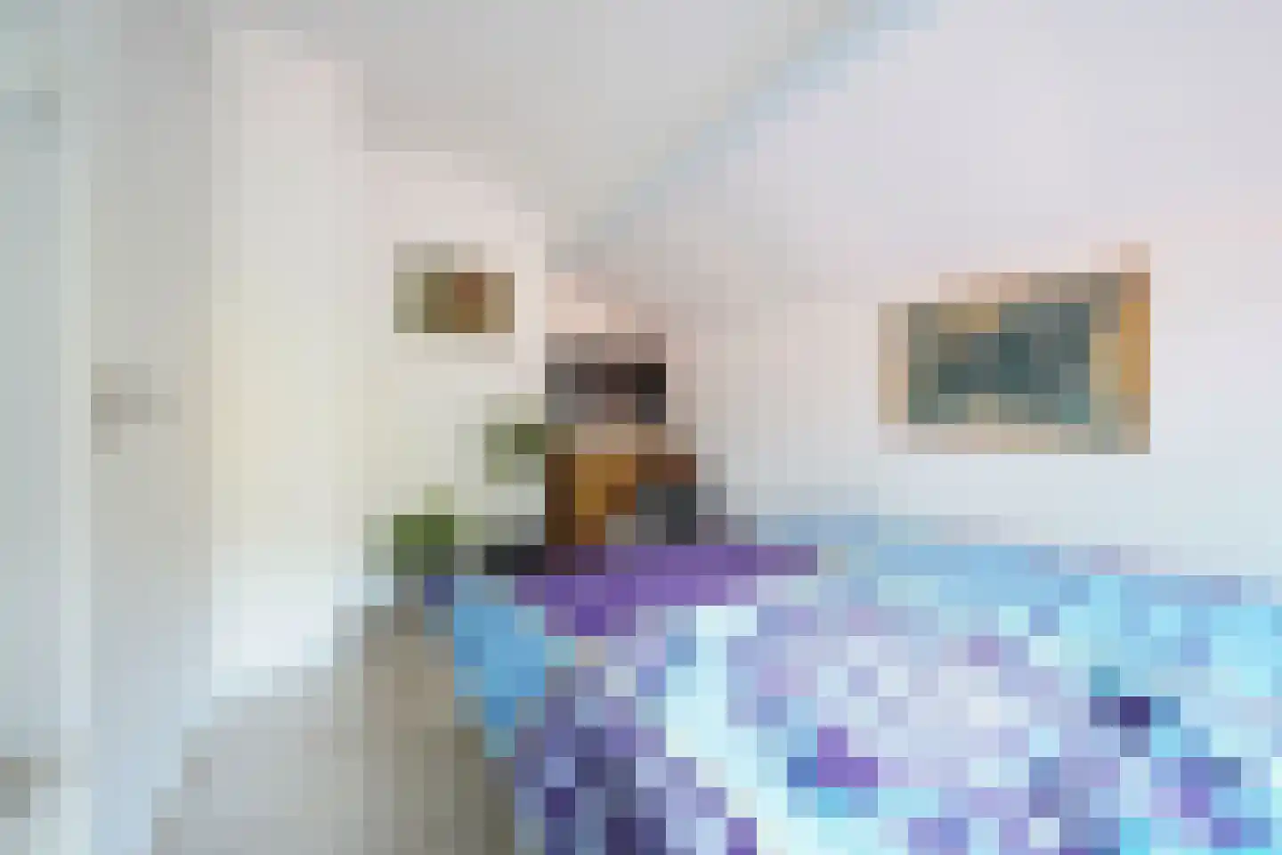 Domeinenweg 4 Putten thumbnail 51