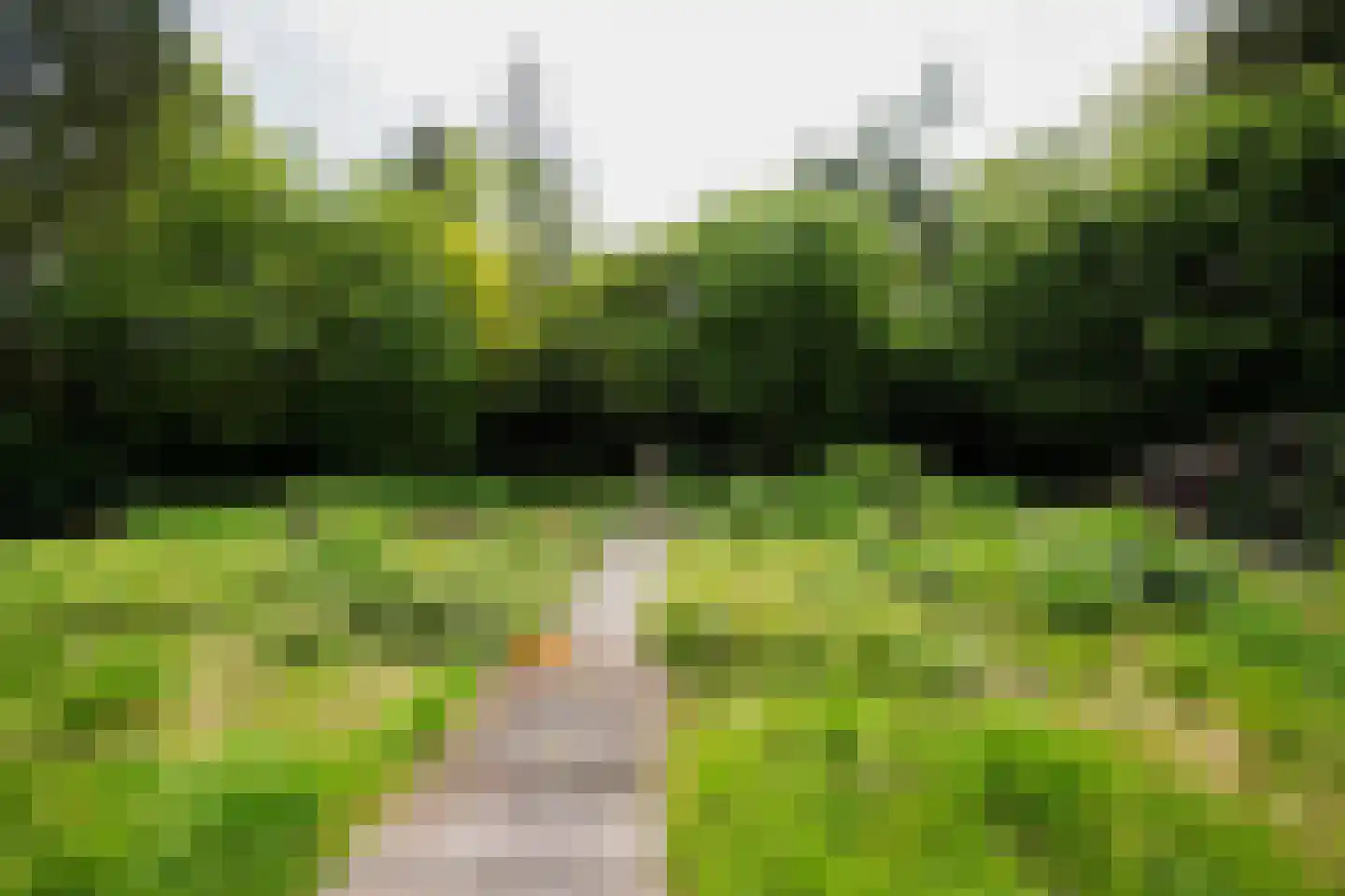 Domeinenweg 4 Putten thumbnail 52