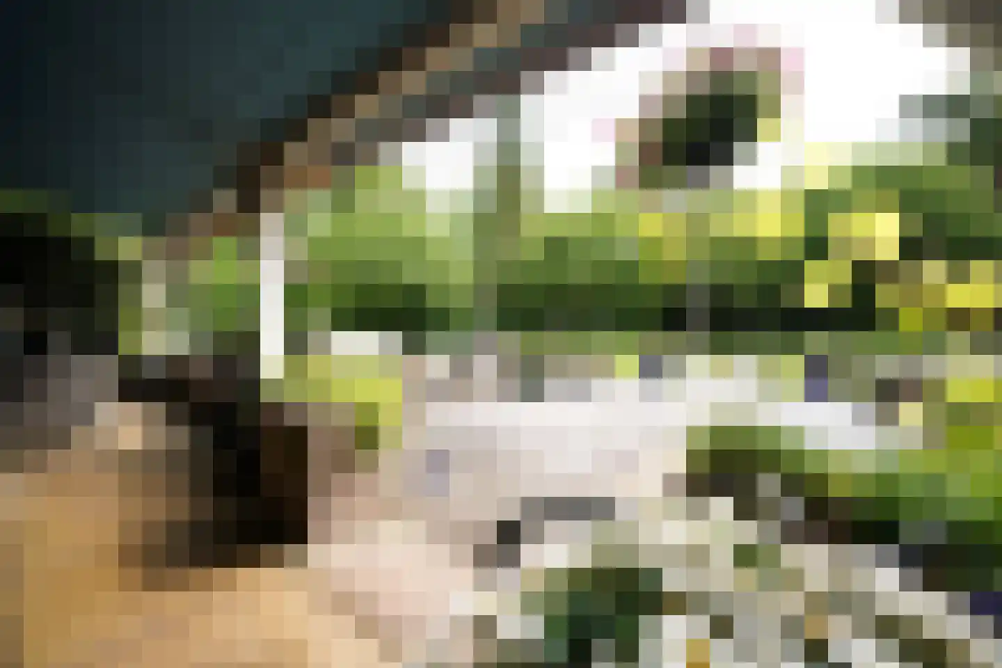 Domeinenweg 4 Putten thumbnail 54