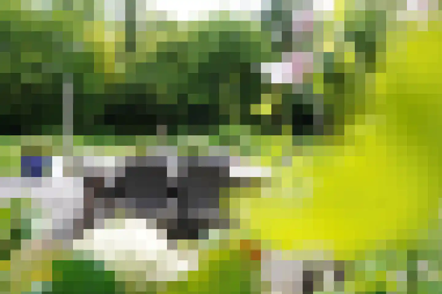 Domeinenweg 4 Putten thumbnail 55