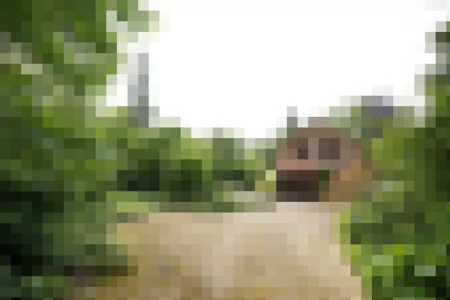 Domeinenweg 4 Putten thumbnail 56