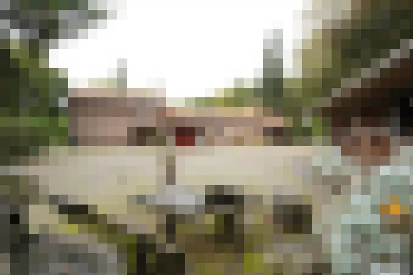 Domeinenweg 4 Putten thumbnail 56