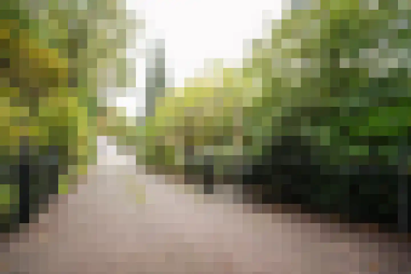Domeinenweg 4 Putten thumbnail 6