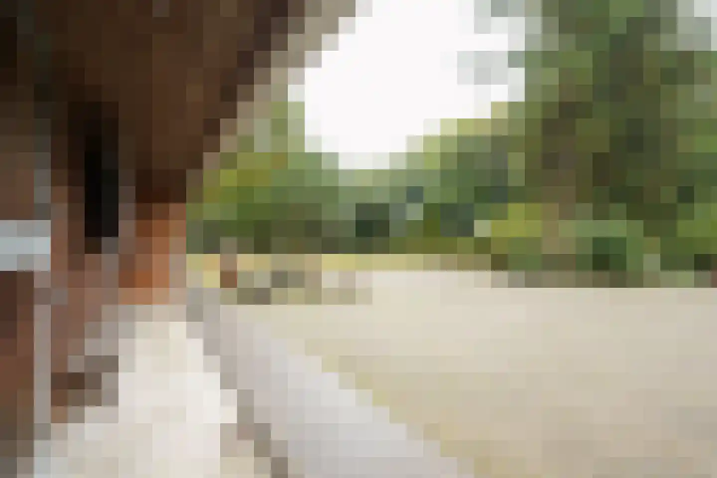 Domeinenweg 4 Putten thumbnail 60