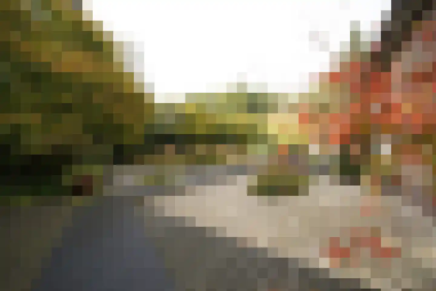 Domeinenweg 4 Putten thumbnail 61