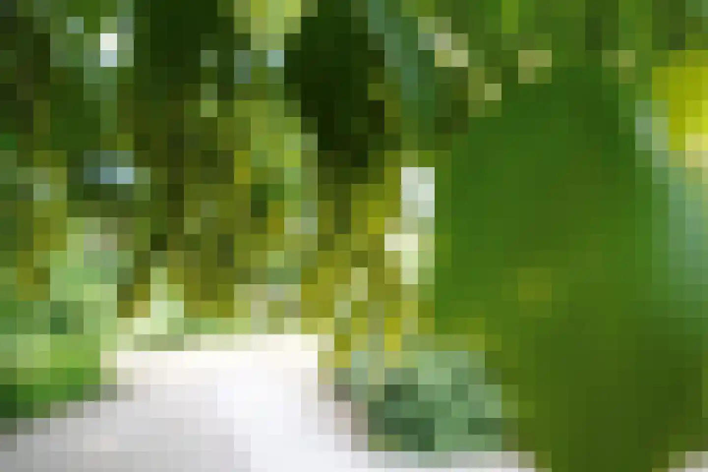Domeinenweg 4 Putten thumbnail 61