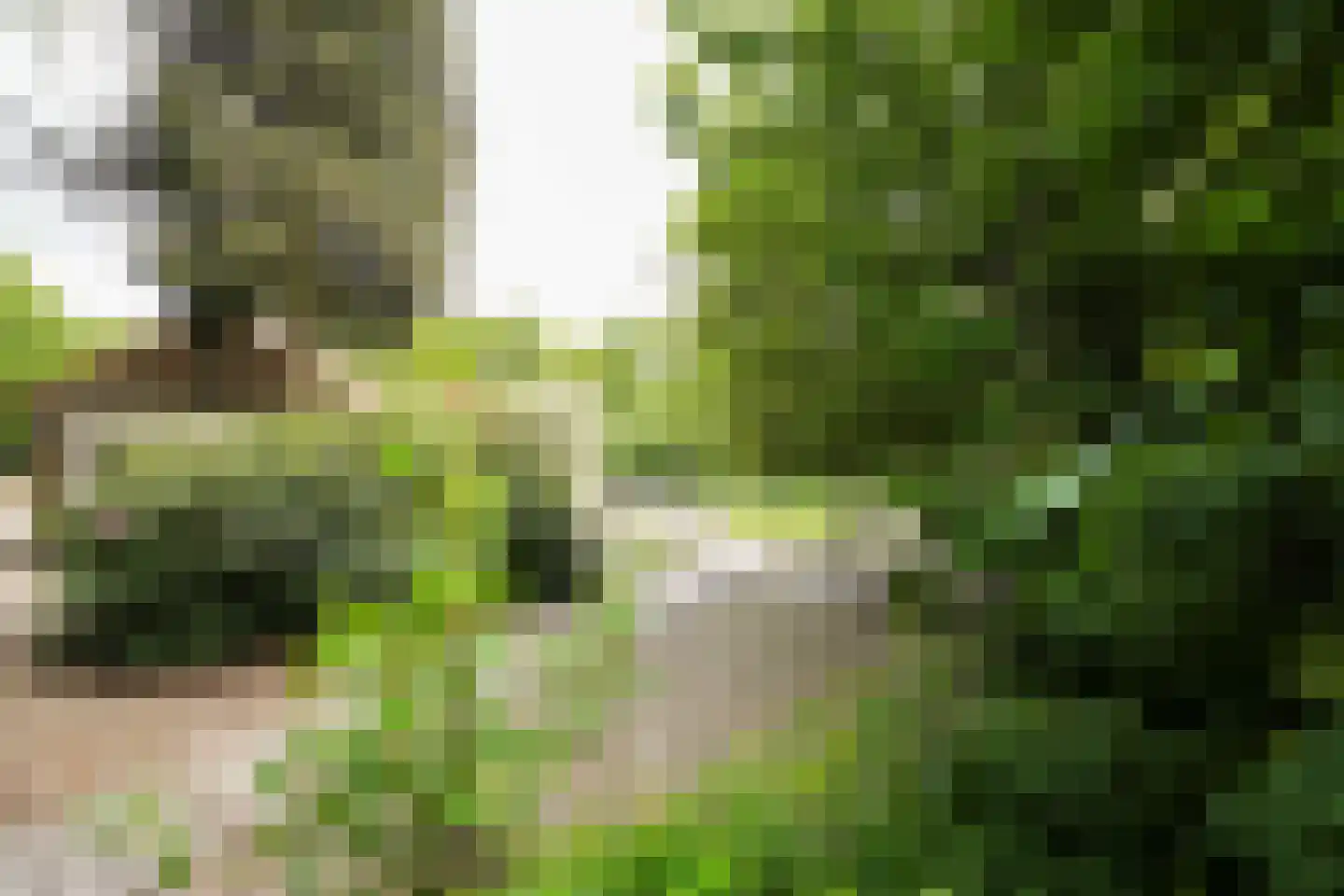Domeinenweg 4 Putten thumbnail 62