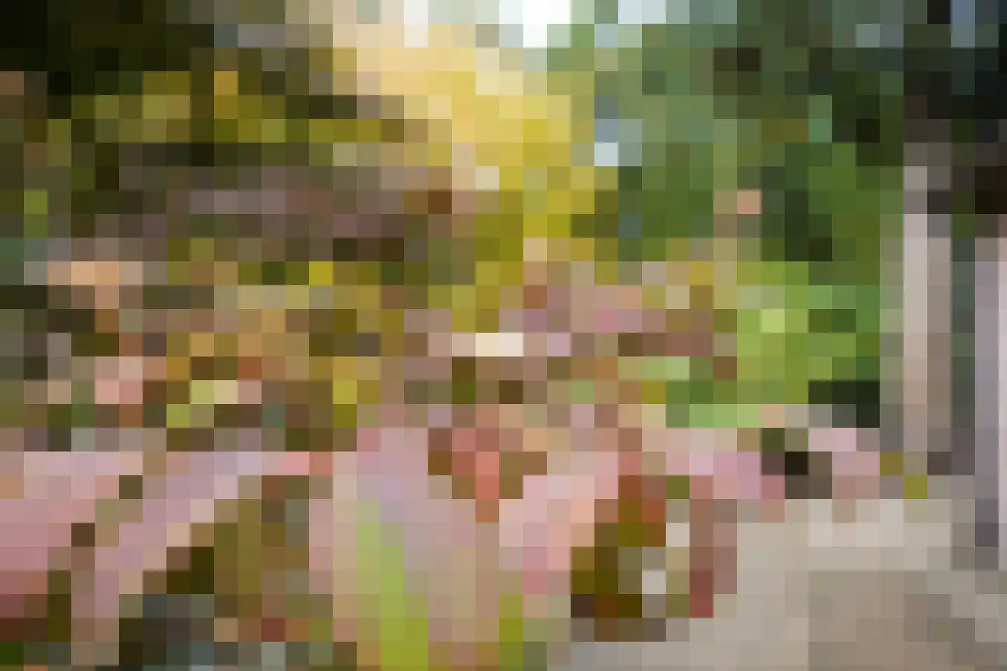 Domeinenweg 4 Putten thumbnail 62