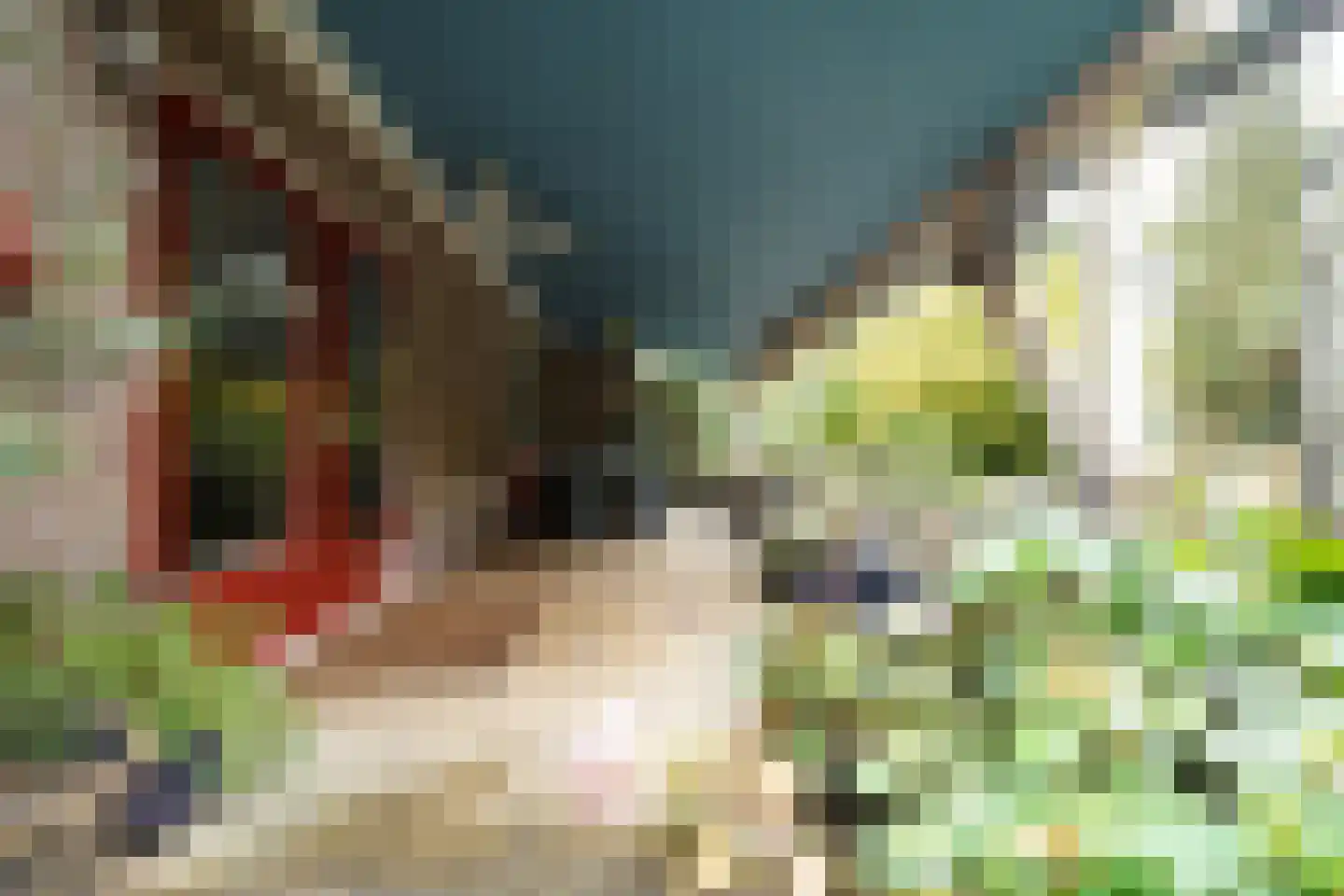Domeinenweg 4 Putten thumbnail 63