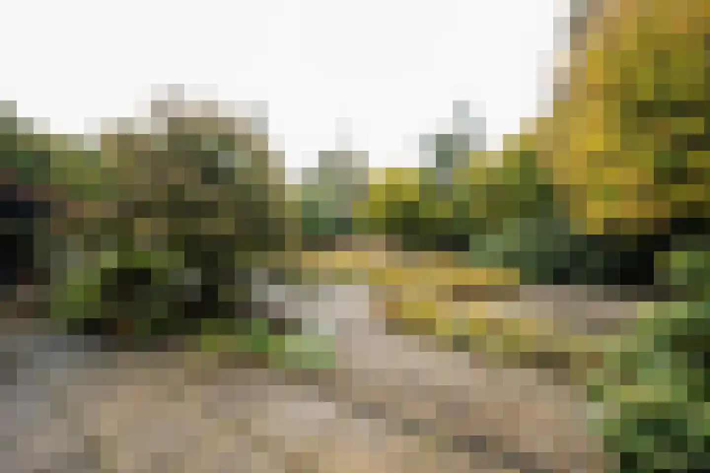 Domeinenweg 4 Putten thumbnail 64