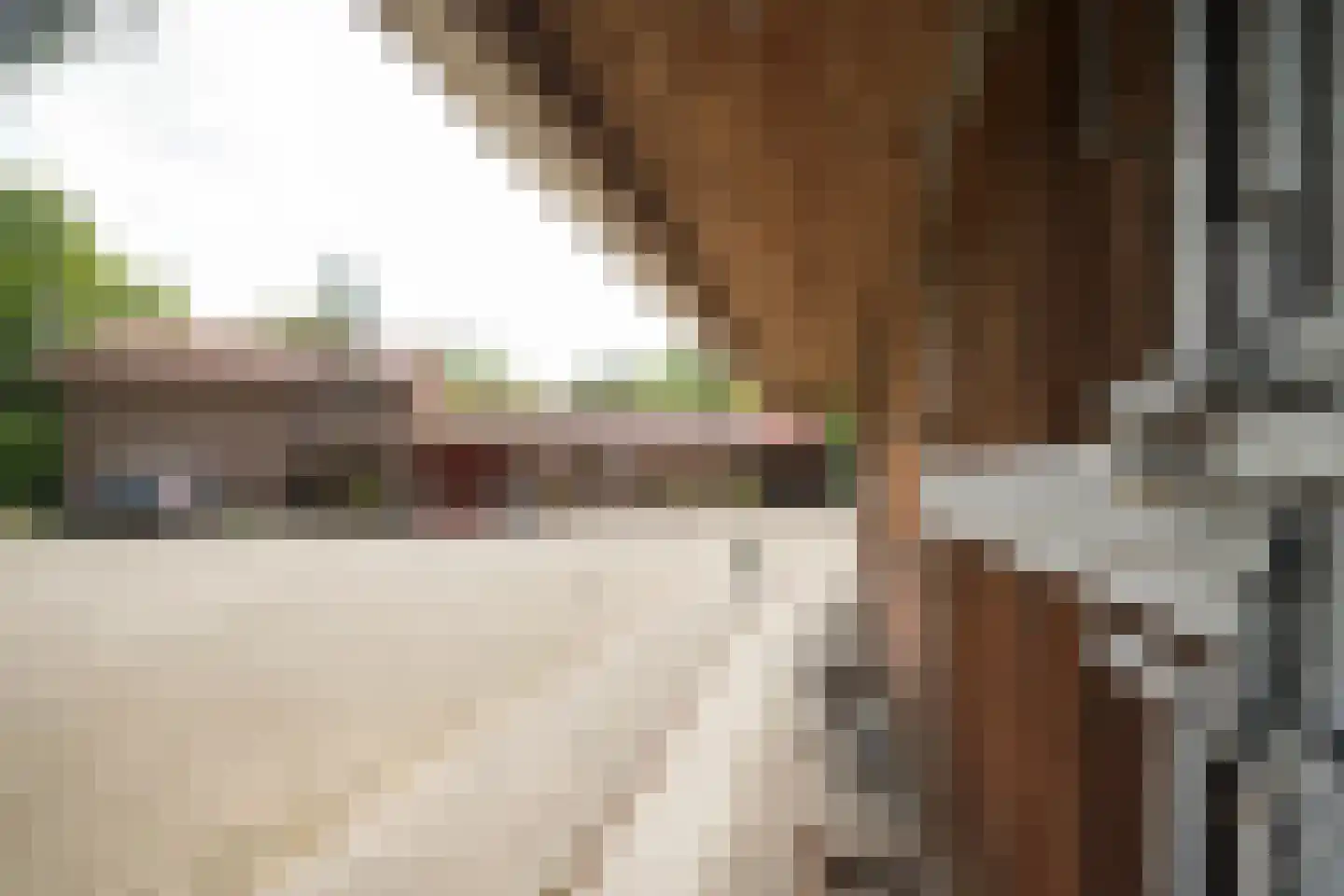 Domeinenweg 4 Putten thumbnail 65