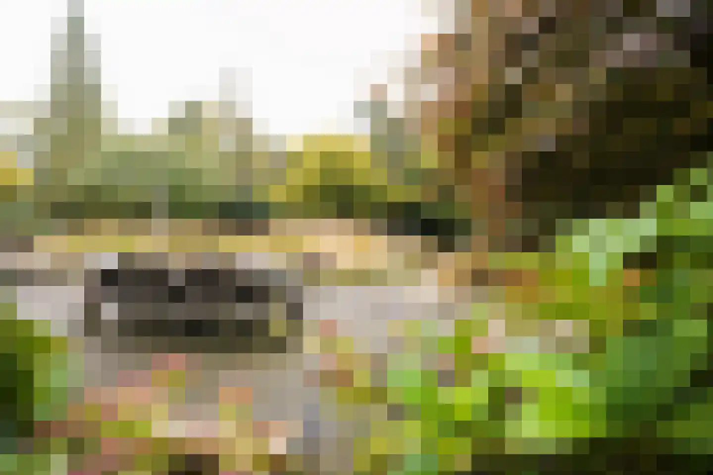 Domeinenweg 4 Putten thumbnail 65