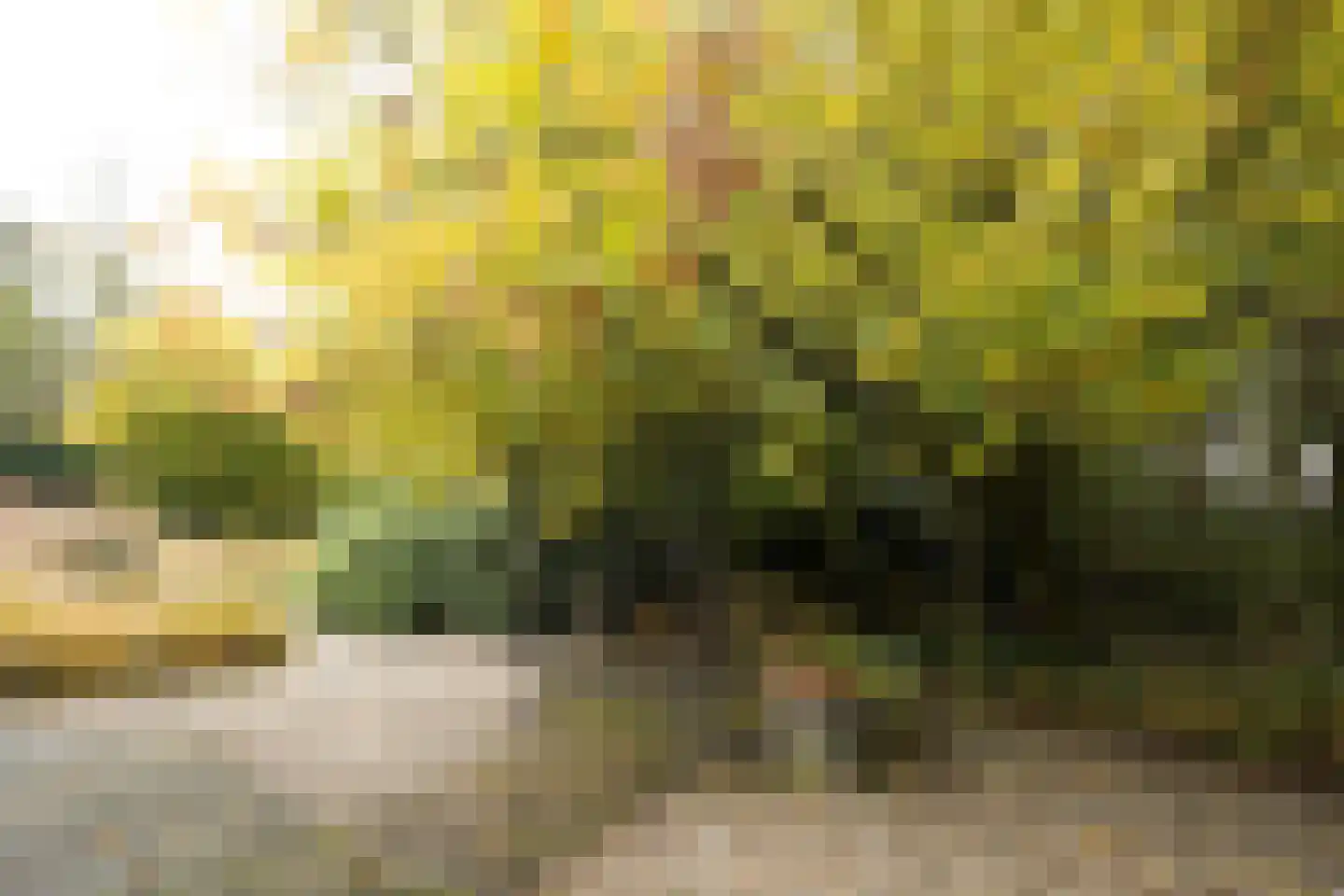 Domeinenweg 4 Putten thumbnail 66