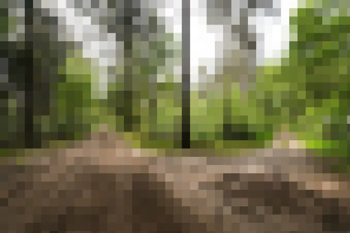 Domeinenweg 4 Putten thumbnail 66