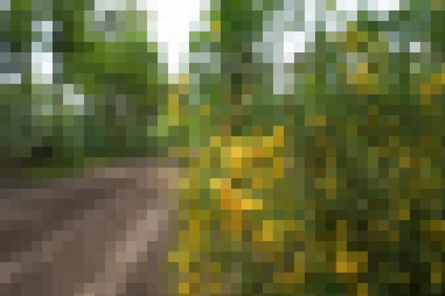 Domeinenweg 4 Putten thumbnail 67