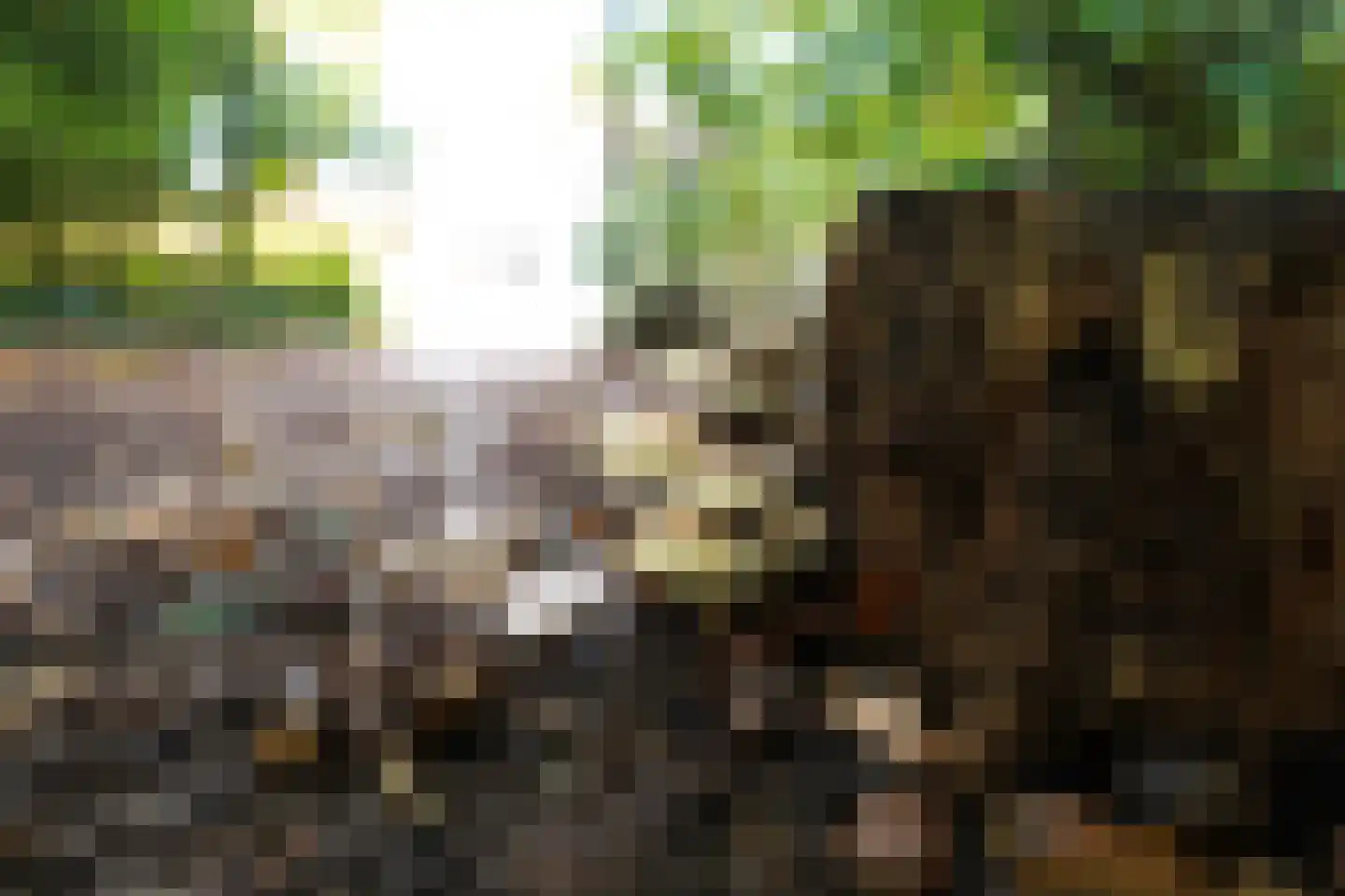 Domeinenweg 4 Putten thumbnail 67