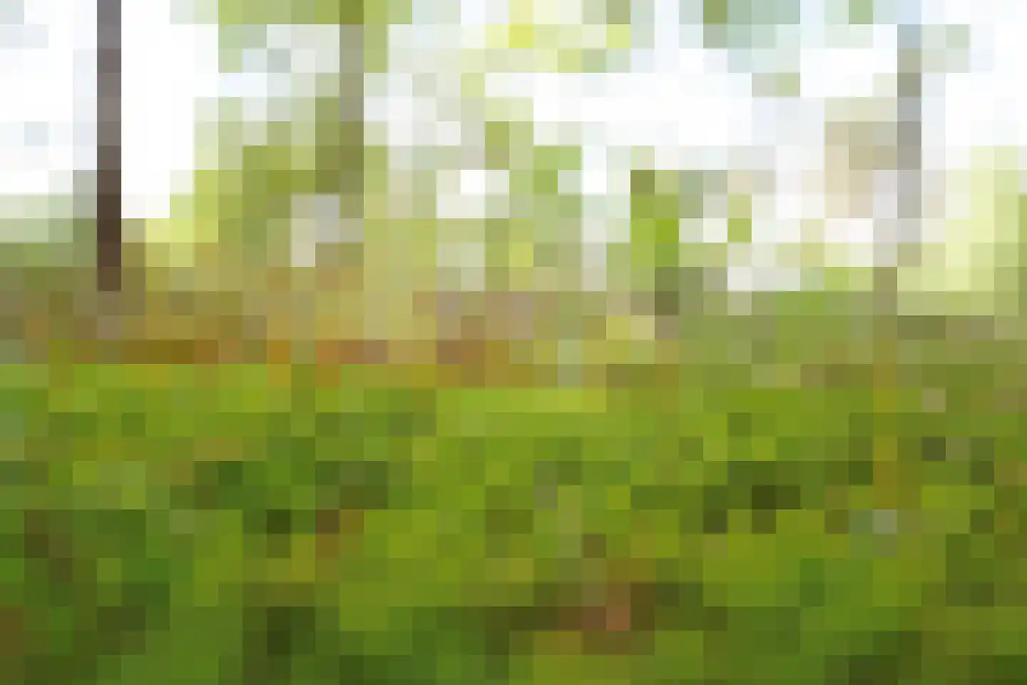 Domeinenweg 4 Putten thumbnail 68