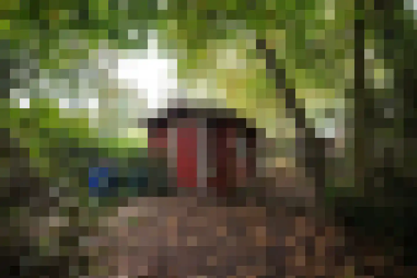 Domeinenweg 4 Putten thumbnail 69
