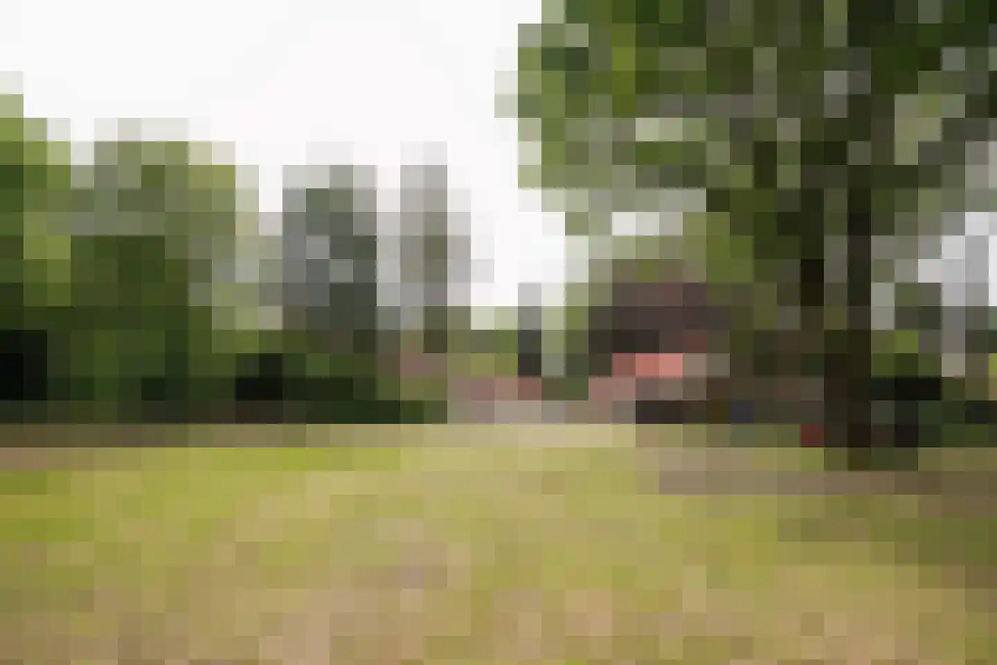 Domeinenweg 4 Putten thumbnail 7