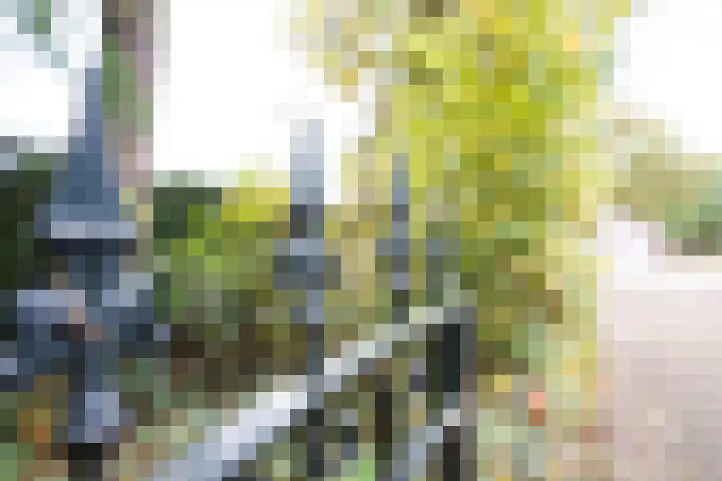 Domeinenweg 4 Putten thumbnail 7