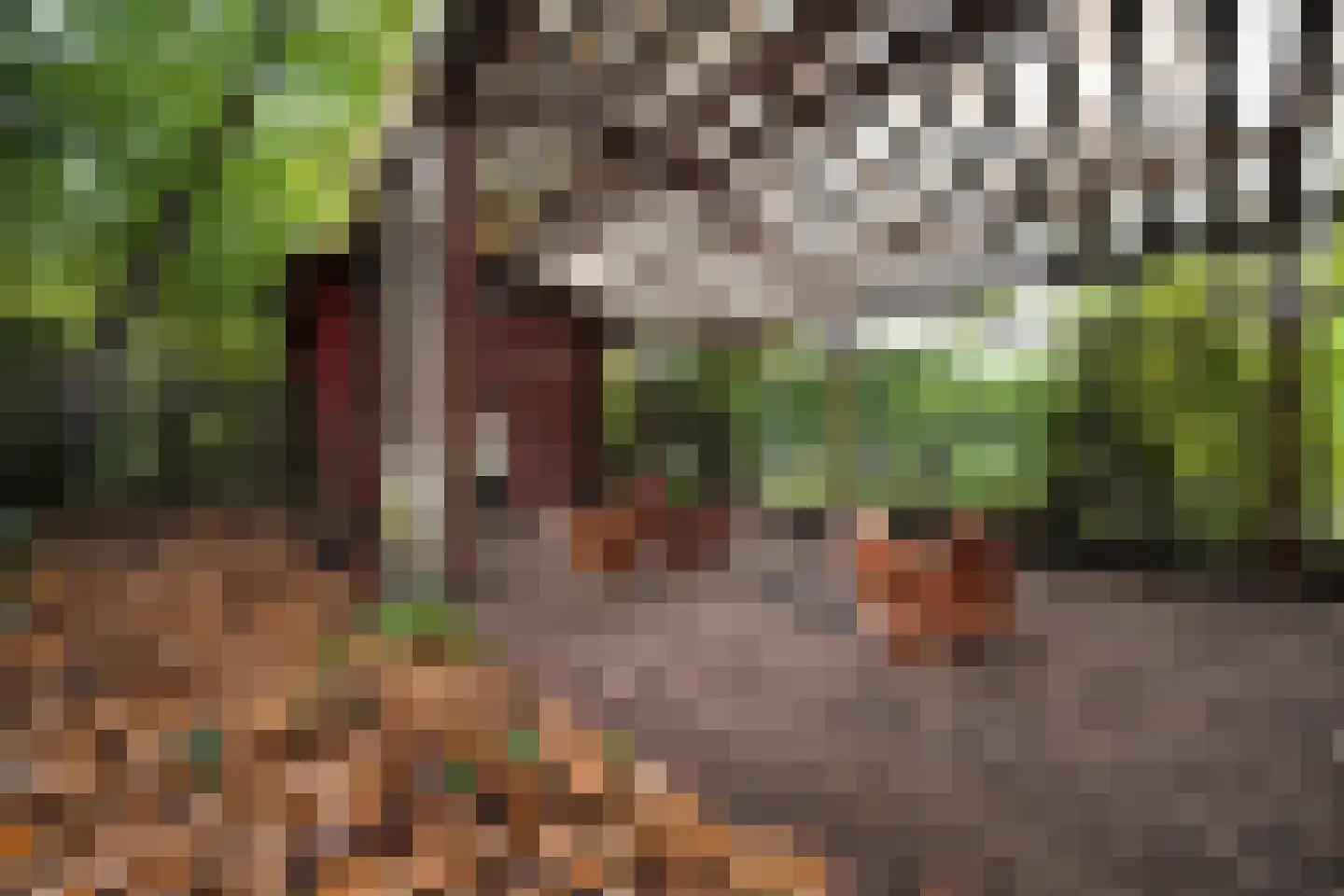 Domeinenweg 4 Putten thumbnail 70
