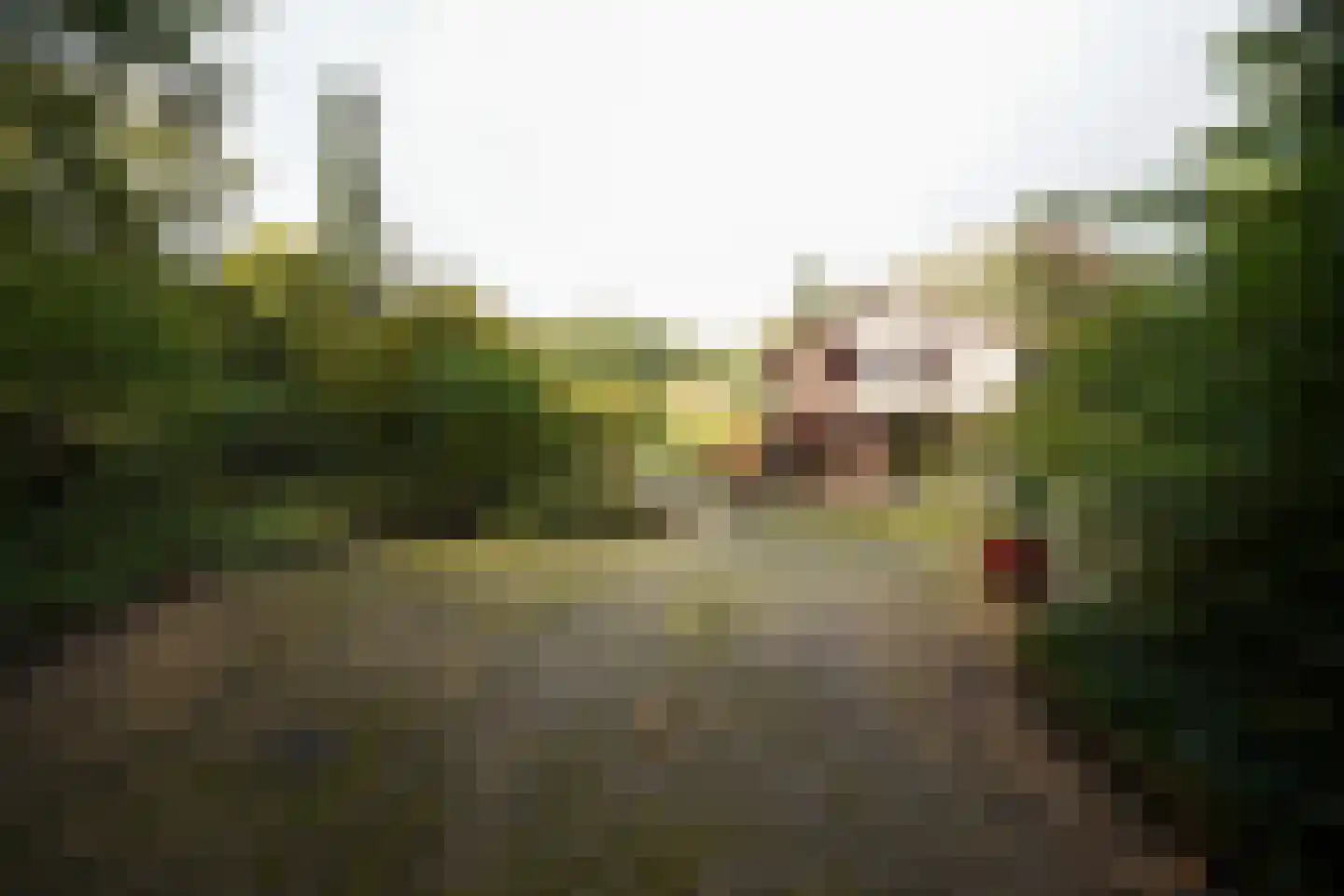 Domeinenweg 4 Putten thumbnail 71