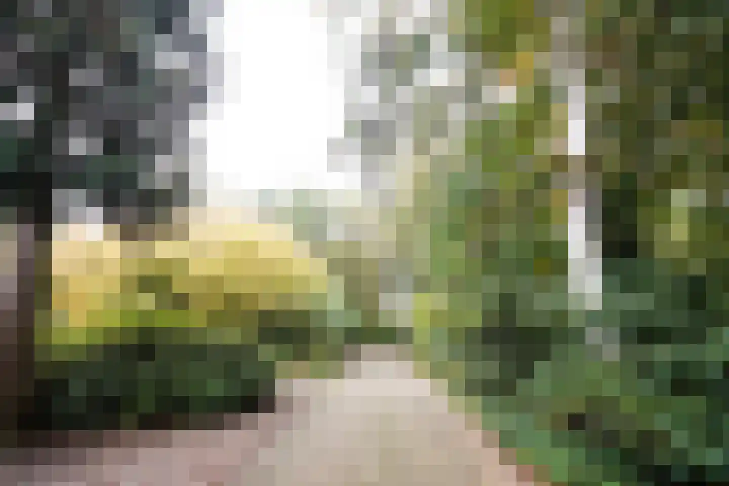 Domeinenweg 4 Putten thumbnail 73