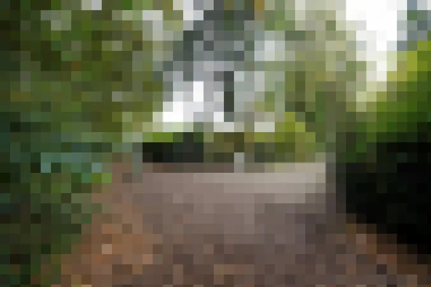 Domeinenweg 4 Putten thumbnail 74