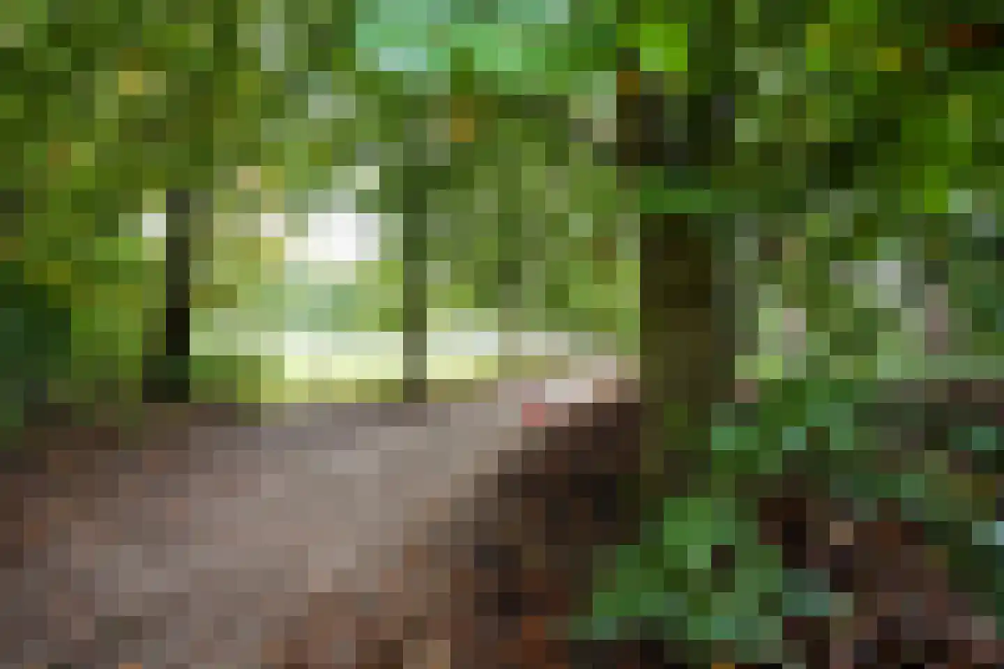 Domeinenweg 4 Putten thumbnail 76